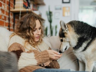 Woman relaxing on couch with a Siberian Husky, creating a cozy and warm atmosphere.
